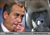 Totally Looks Like / Separated At Birth