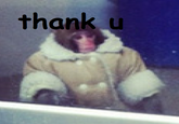 IKEA Monkey