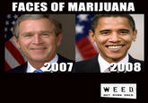 Faces of Marijuana