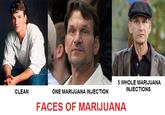 Faces of Marijuana
