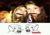 Genius