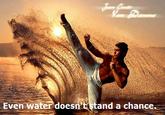 Van Damme