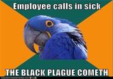 Paranoid Parrot