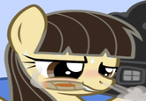 My Little Pony: Friendship is Magic