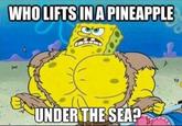 SpongeBob SquarePants