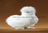 Peyton's Fluffy Chicken