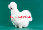 Peyton's Fluffy Chicken