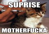 James Doakes' "Surprise Motherfucker"