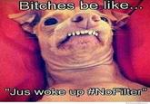 Bitches Be Like