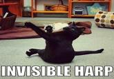 Invisible X