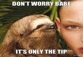 Rape Sloth