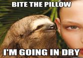 Rape Sloth