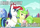 I need an adult