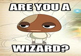 Are You A Wizard
