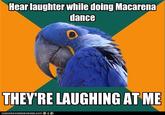 Paranoid Parrot