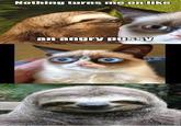 Rape Sloth