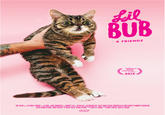 Lil Bub
