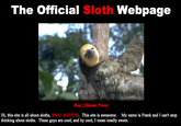 Sloths