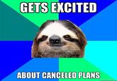 Sloths