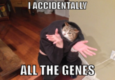I Accidentally