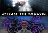 Release The Kraken!