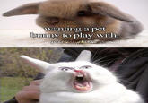 Just Little Things