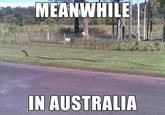 Meanwhile in X