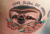 Sloths