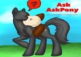 Tumblr Ask Blogs