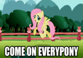 My Little Pony: Friendship is Magic
