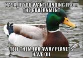 Actual Advice Mallard