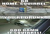 Go Home, You Are Drunk