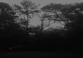 The Rake