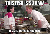 Gordon Ramsay