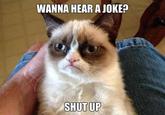A cat is fine too....