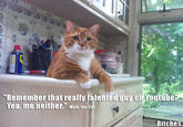 Mylo the Cat