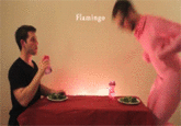 How Animals Eat Their Food