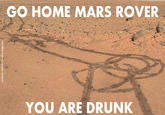 Go Home, You Are Drunk