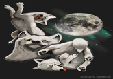 Moon Moon