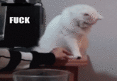 Reaction Faces