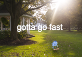 Gotta Go Fast