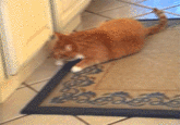 Do A Barrel Roll
