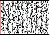 Optical Illusion