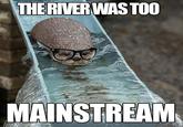 Hipster