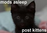 Mods Are Asleep