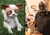 Grumpy Cat
