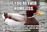 Actual Advice Mallard