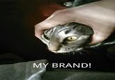 My Brand