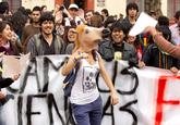 Horse Head Mask