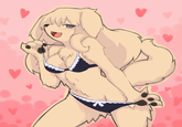 Furries
